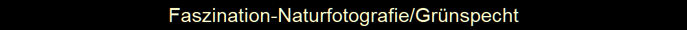 Faszination-Naturfotografie/Grnspecht