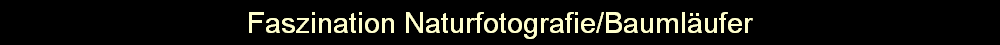 Faszination Naturfotografie/Baumlufer