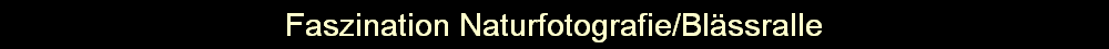 Faszination Naturfotografie/Blssralle