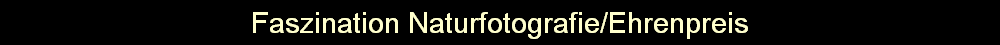 Faszination Naturfotografie/Ehrenpreis