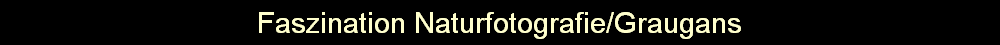 Faszination Naturfotografie/Graugans