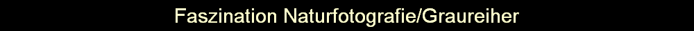Faszination Naturfotografie/Graureiher