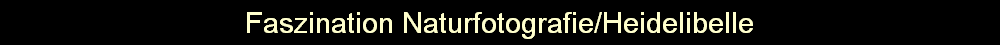 Faszination Naturfotografie/Heidelibelle