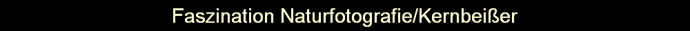 Faszination Naturfotografie/Kernbeier
