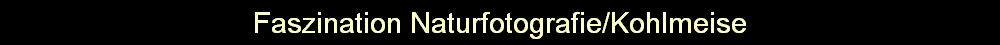 Faszination Naturfotografie/Kohlmeise