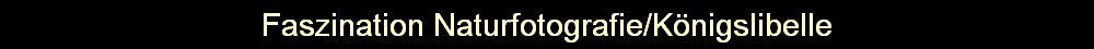 Faszination Naturfotografie/Knigslibelle