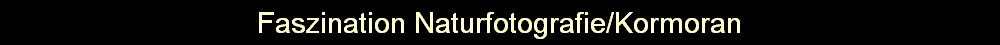Faszination Naturfotografie/Kormoran
