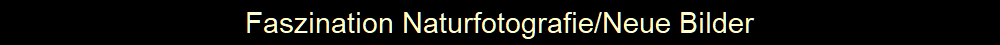 Faszination Naturfotografie/Neue Bilder