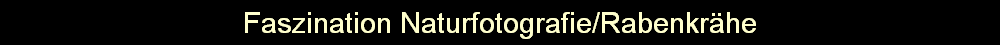 Faszination Naturfotografie/Rabenkrhe