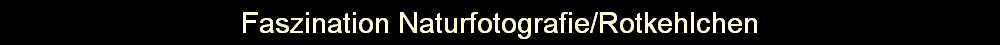 Faszination Naturfotografie/Rotkehlchen