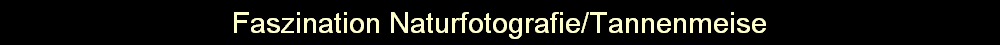 Faszination Naturfotografie/Tannenmeise