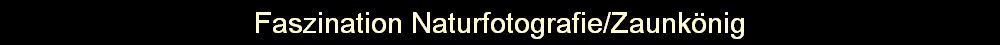 Faszination Naturfotografie/Zaunknig